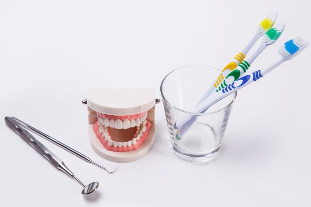 Toothbrushes and dental equipment beside a model of human teeth